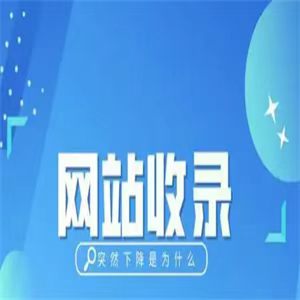 来凤网站seo优化