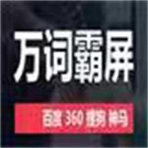 应用多的策划运营是干什么的