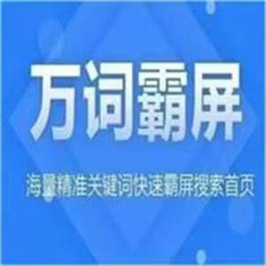有实力的百度搜索属于哪种搜索引擎类型