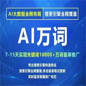 正规的网站推广包括哪些类型的广告